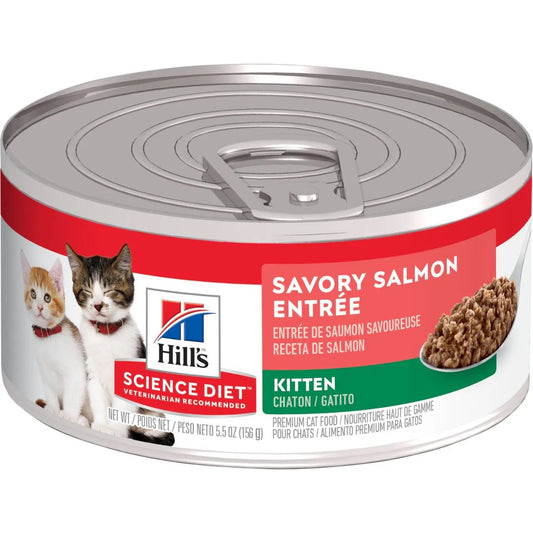 Hill's Science Diet Kitten Canned Cat Food, Savory Salmon Entrée Cat Food (2.9oz) - Science Diet Wet Cat Food - The Family Pet
