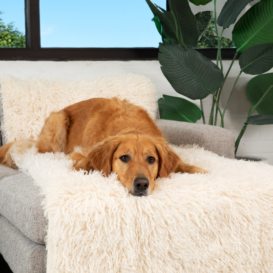 PupProtectorT Luxe Waterproof Bed Runner - Plush Sheep Ivory - detail view