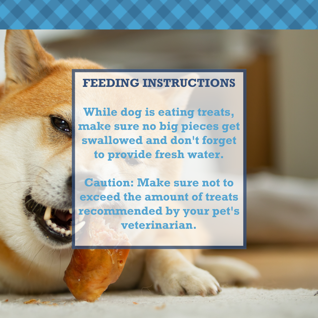 Dog enjoying a single ingredient duck chews for dogs treat, promoting healthy chewing habits