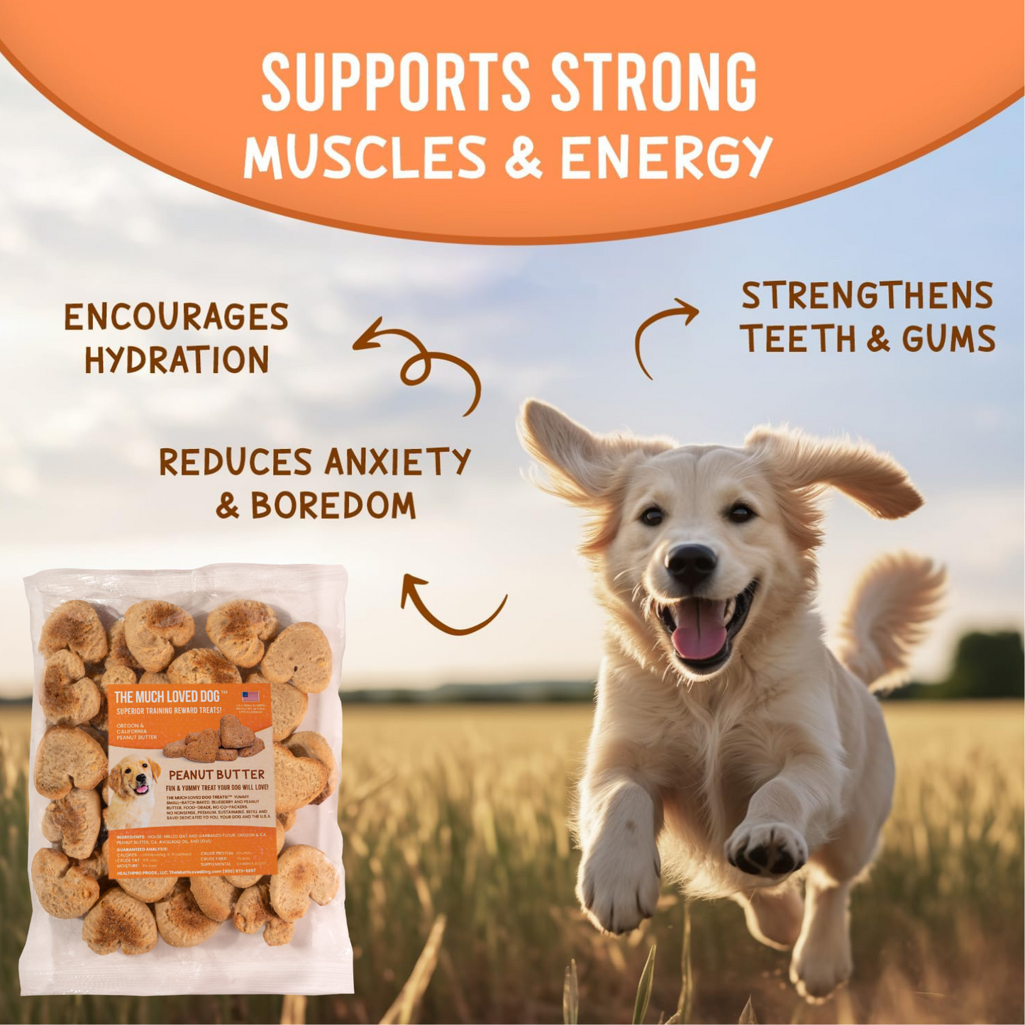 Much Loved Dog Peanut Butter Training Reward Treats - ECO Set (Filled Fresh Keeper +1 Refill)