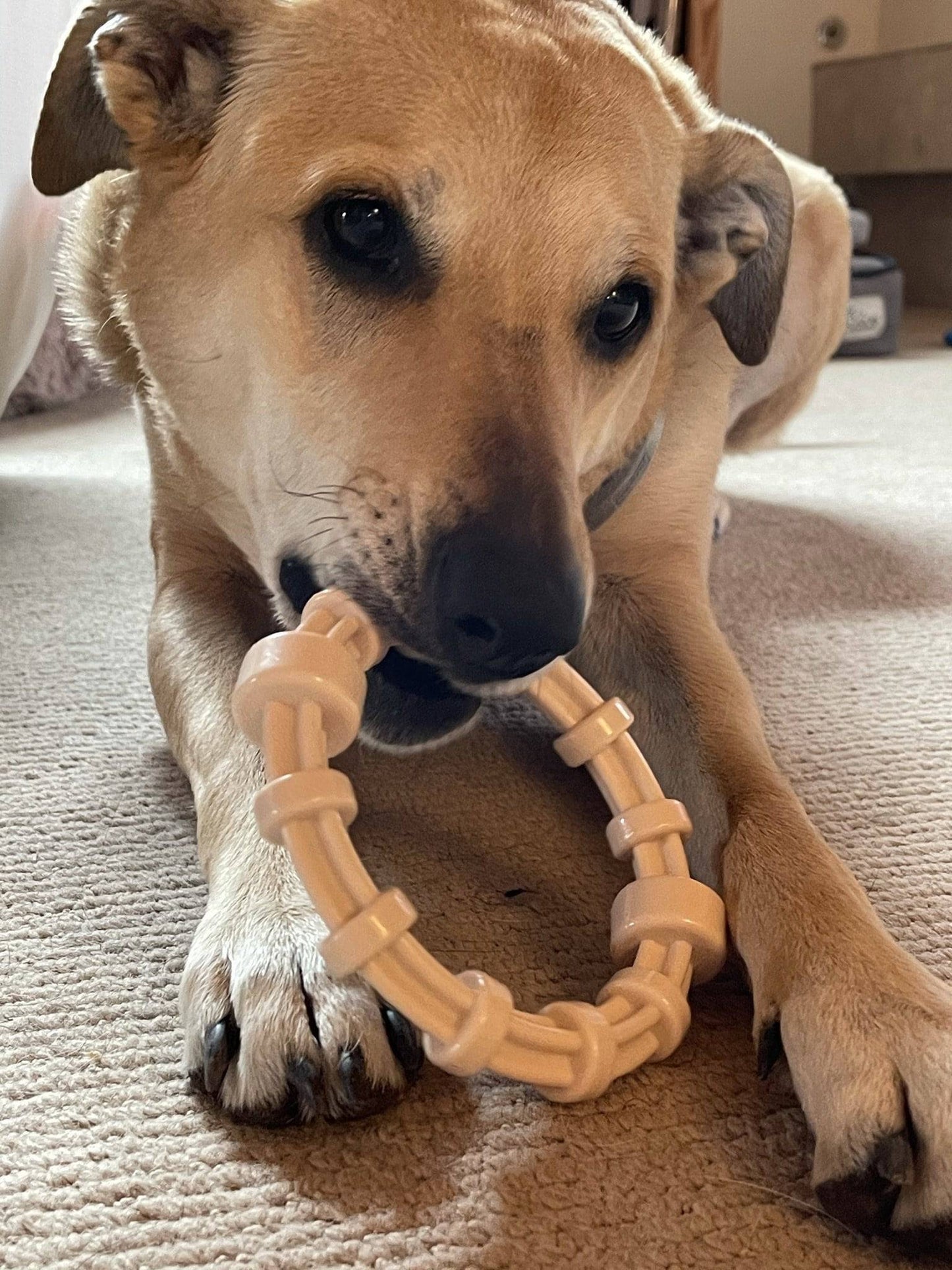 Chicken Flavored Teething Ring for Puppies & Aggressive Chewers