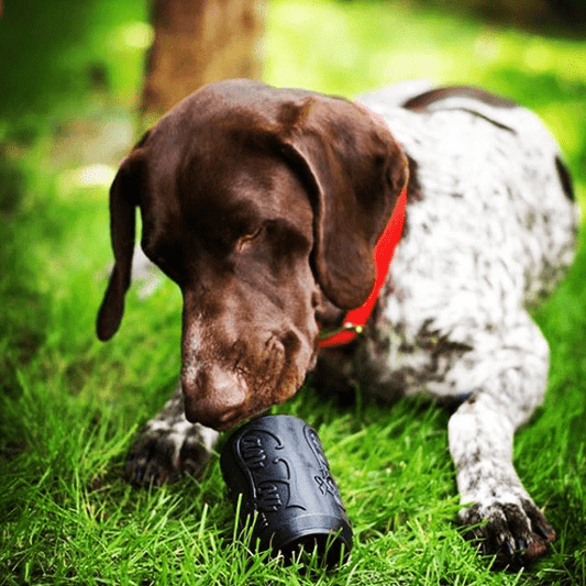 Magnum Can Toy Rubber Dog Chew Toy for Extreme Chewers | Treat