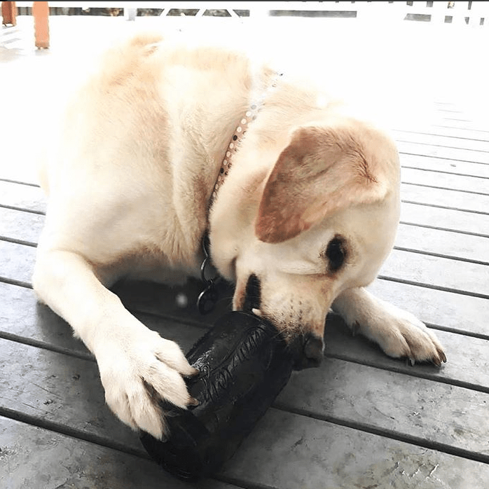 Magnum Can Toy Rubber Dog Chew Toy for Extreme Chewers | Treat