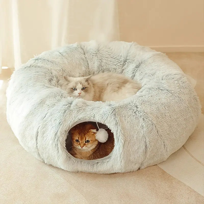 Cat Beds House - Mimarta