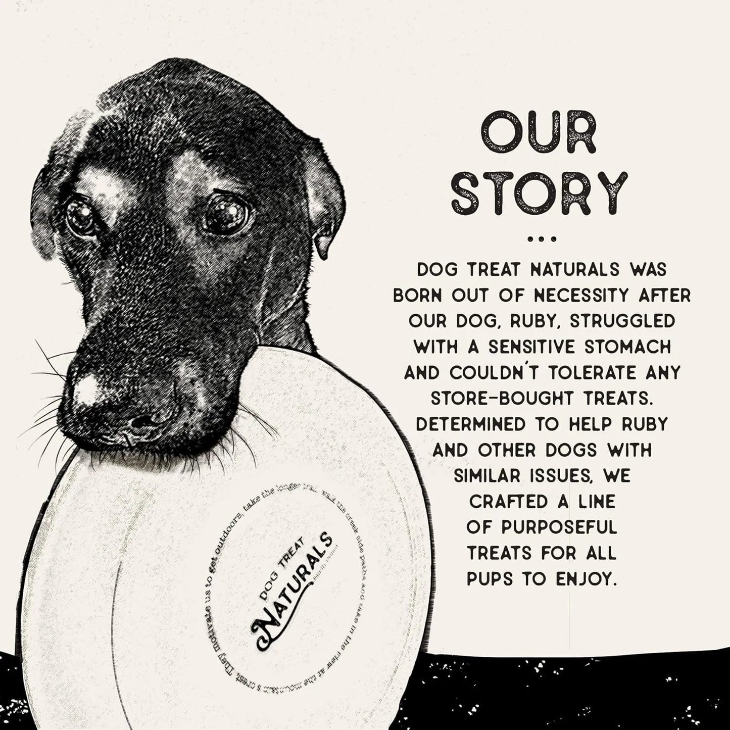 Purrfect Pet Kingdom ? Dog Treat Naturals Superfood Sticks, Duck & Apple Dog Treats (10oz) - Dog Treats