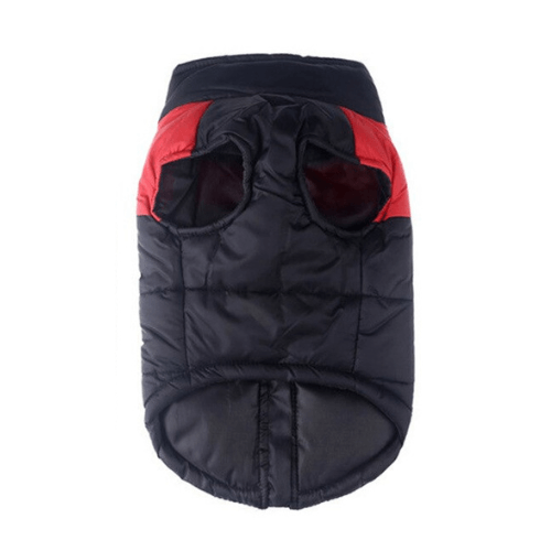 The Wild Paw Wilderness Dog Vest in black and red for outdoor adventures with your pet