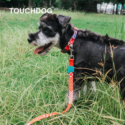 Touchdog ®'Trendzy' 2-in-1 Matching Fashion Designer Printed Dog Leash and Collar