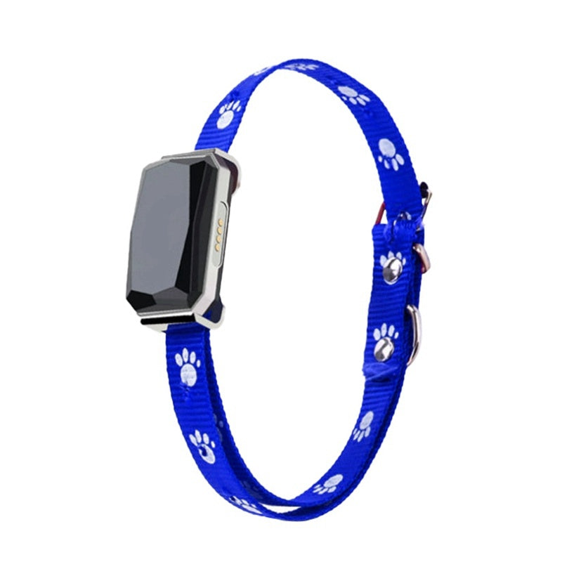 PLGPS GPS Collar in Blue with Paw Print Design, a track your pet location device for real-time monitoring