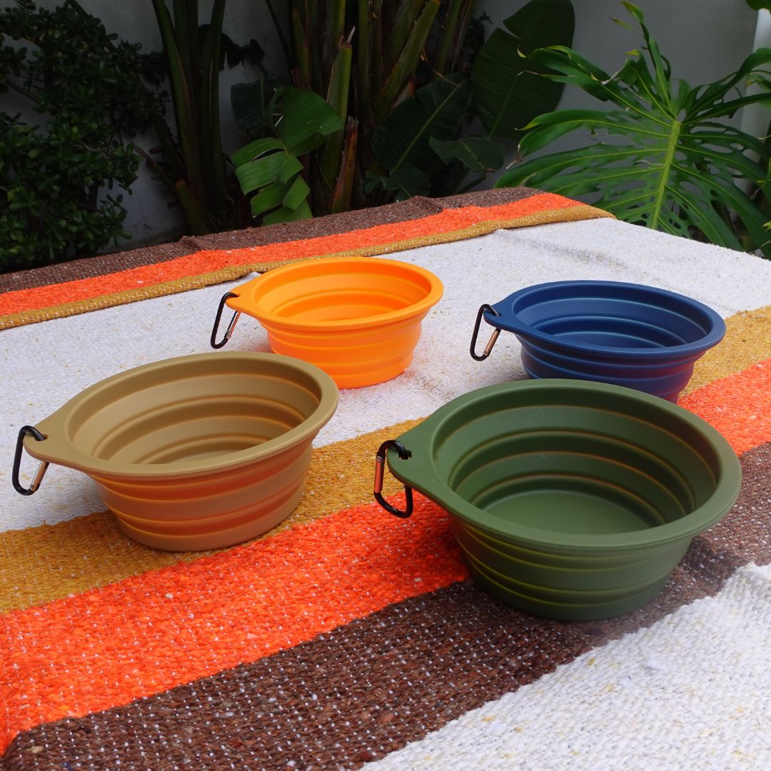 Collapsible Pet Bowl with Clip – Compact, Reusable and Easy to Clean - Purrfect Pet Kingdom