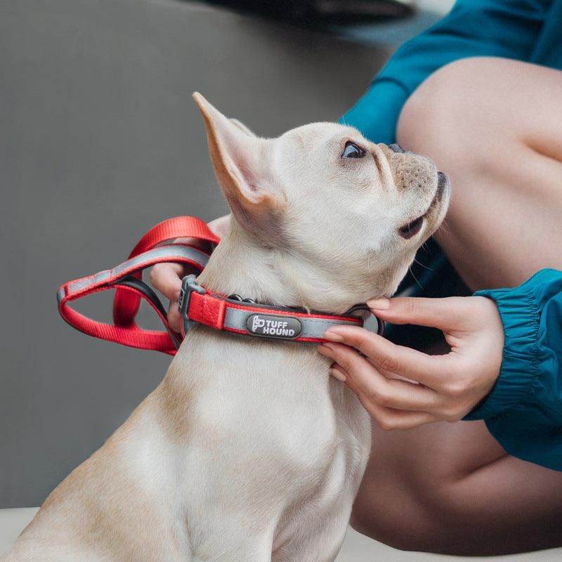 White dog wearing stylish reflective pet collar with adjustable no-pull harness by Purrfect Pet Kingdom