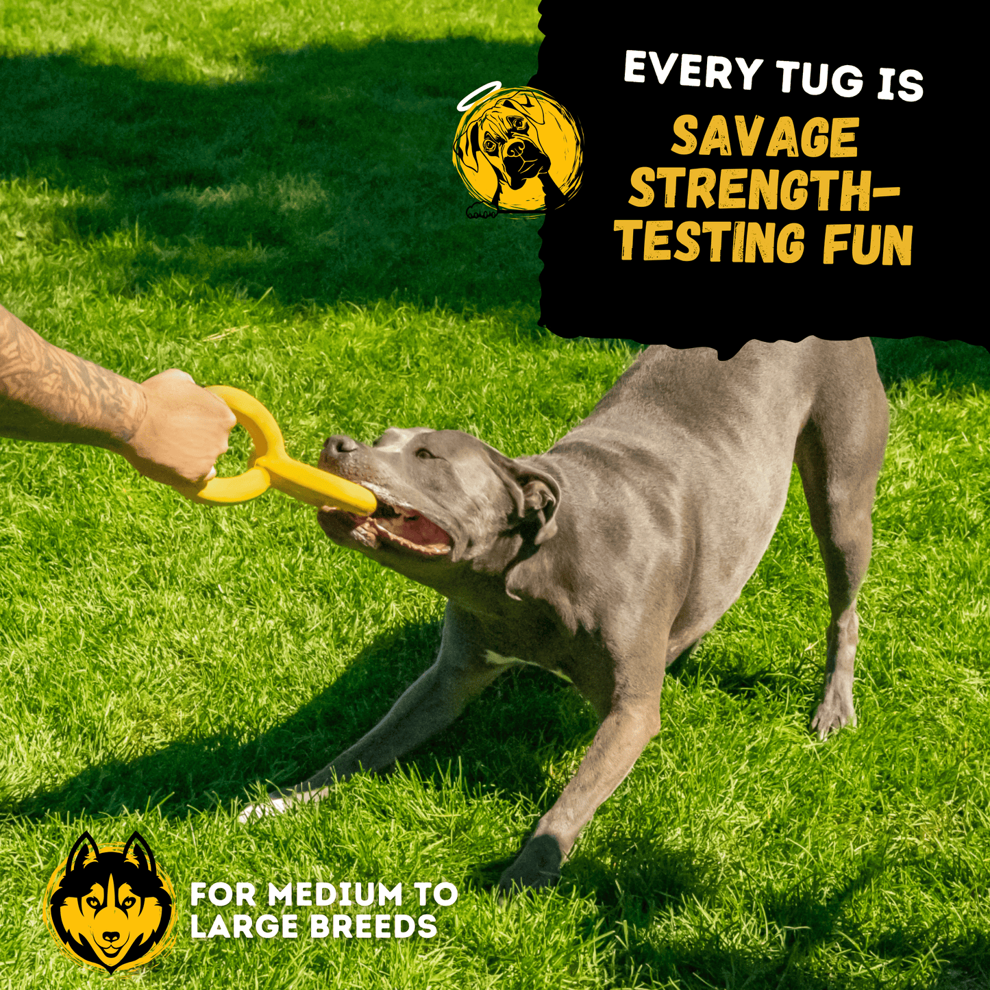 Monster K9 Tug Rings Dog Toy ๐ช