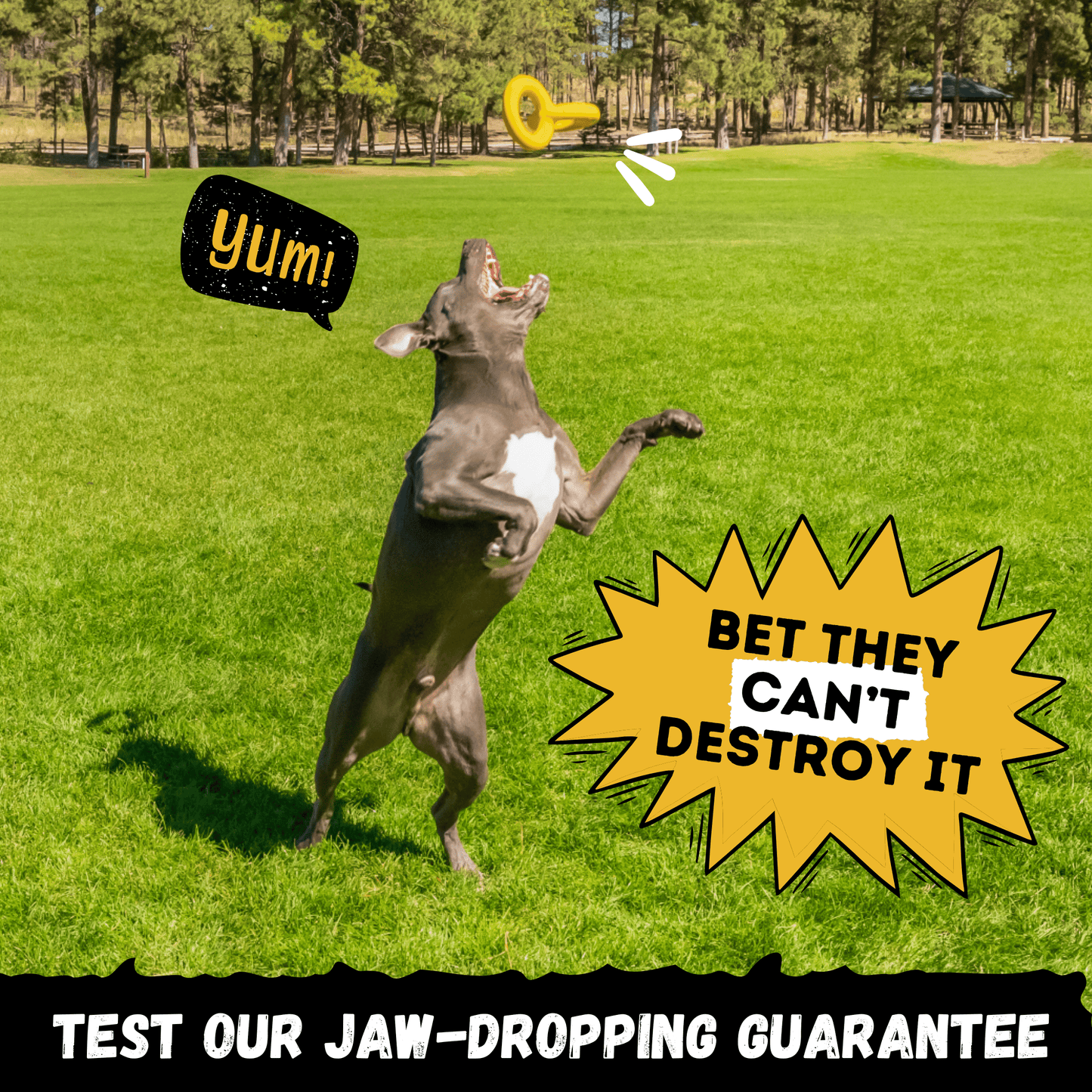 Monster K9 Tug Rings Dog Toy ๐ช