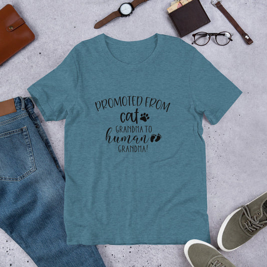 Promoted from Cat Grandma to Human Grandma T-Shirt