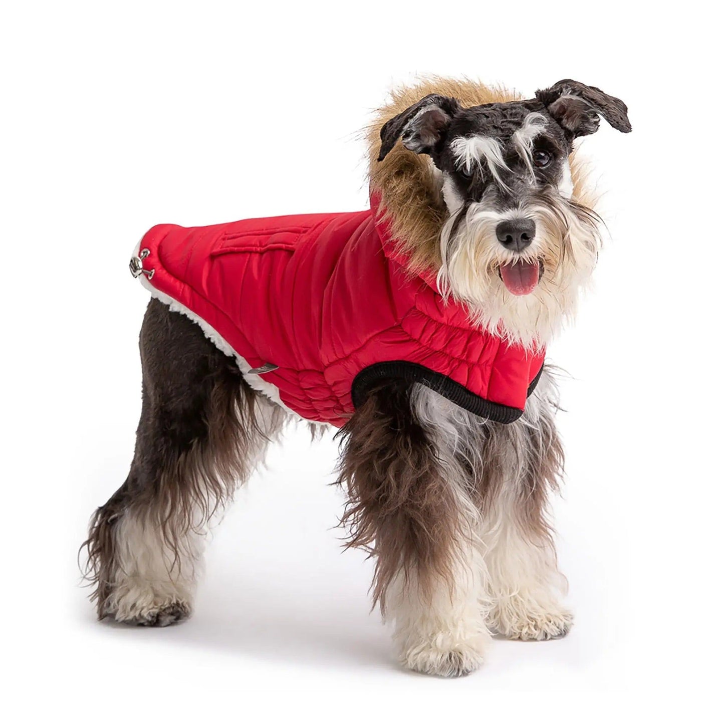 Purrfect Pet Kingdom Urban Dog Winter Coat with Hood Purrfect Pet Kingdom