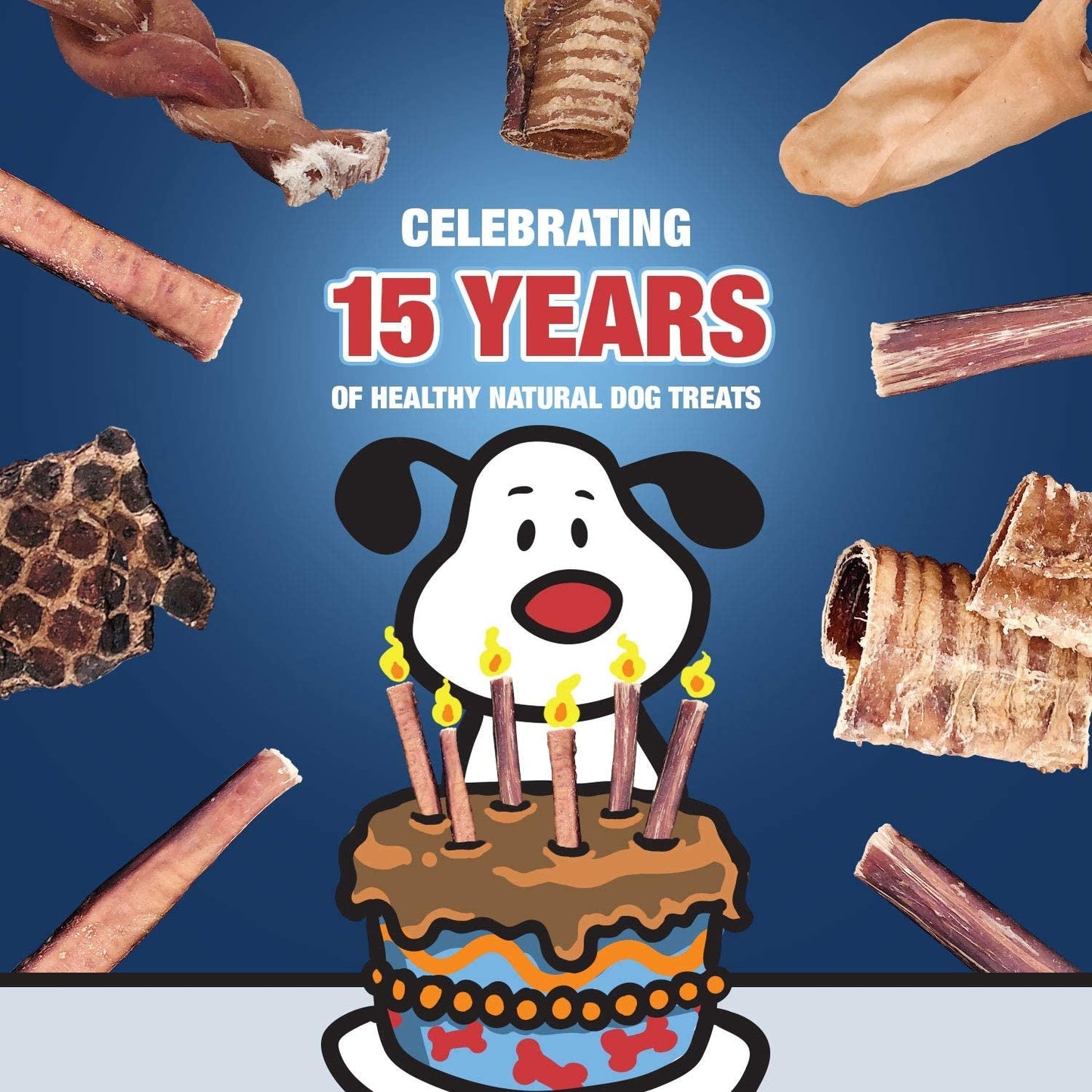 Assorted Purrfect Pet Kingdom healthy dental chews for dogs on a festive background celebrating 15 years