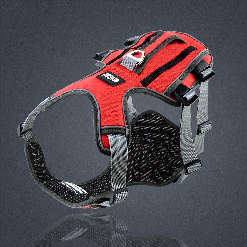 Purrfect Pet Kingdom Adjustable Reflective Harness for Pets Purrfect Pet Kingdom