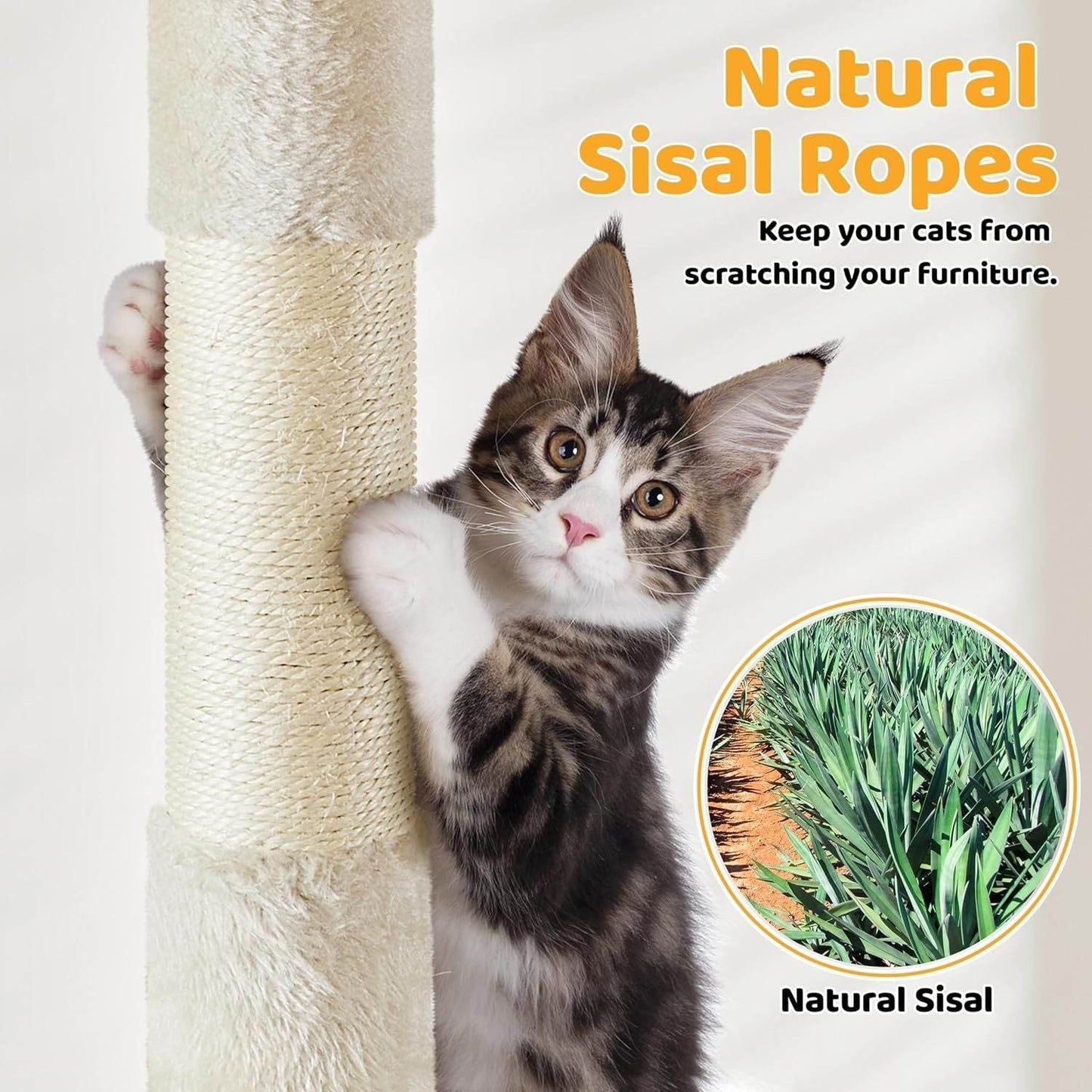Purrfect Pet Kingdom Cat Tree for Indoor Cats - Premium Tower - Purrfect Pet Kingdom