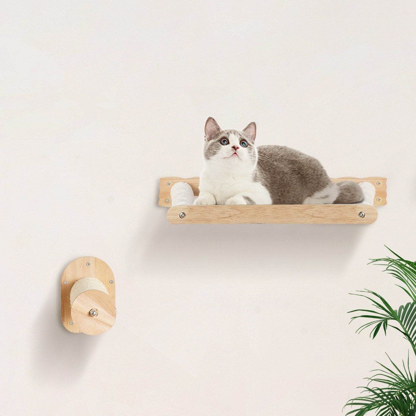 Cat resting on stylish cat shelves for small spaces made of natural wood by Purrfect Pet Kingdom