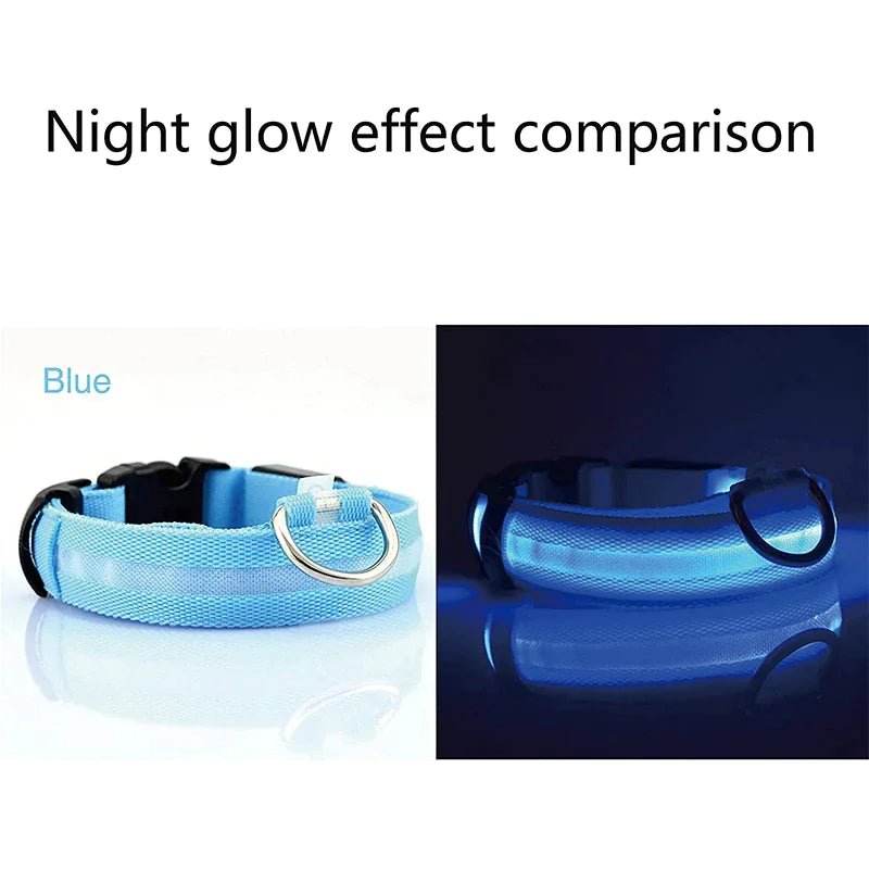 Royal Luminous Safety Pet Collar Adjustable LED Night Visibility ๐ก๐