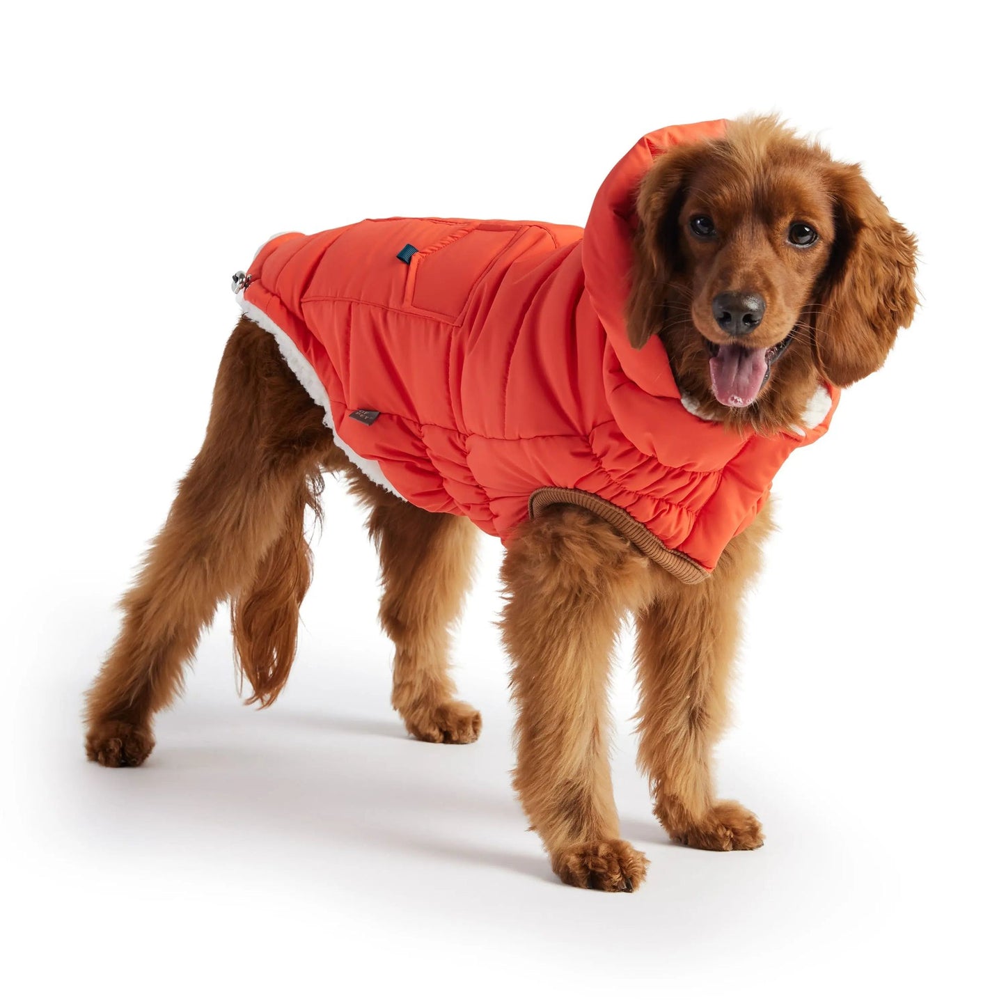 Purrfect Pet Kingdom Warm Dog Winter Coat with Hood Purrfect Pet Kingdom