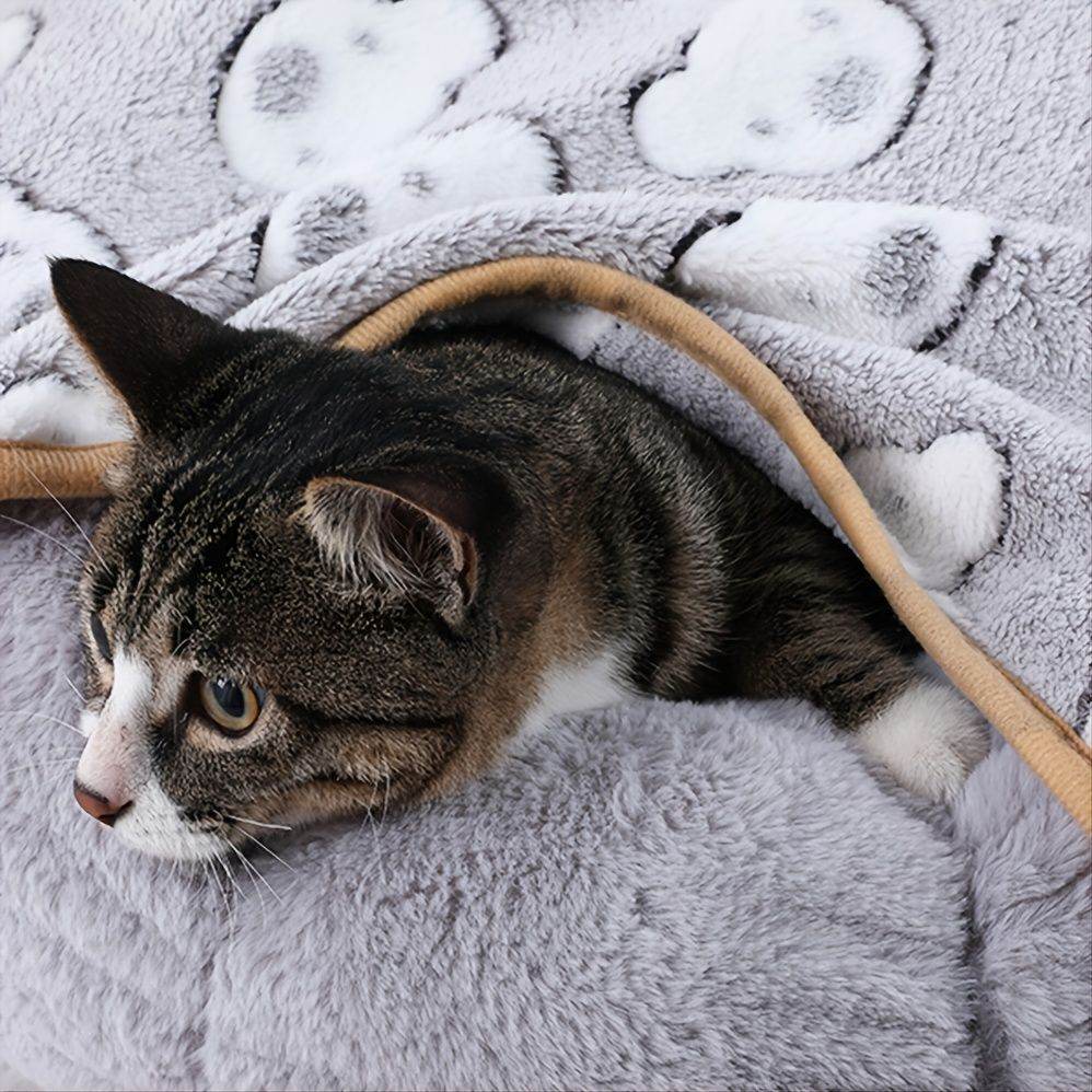 Cozy cat resting on a warming pet pad for cats and dogs by Purrfect Pet Kingdom