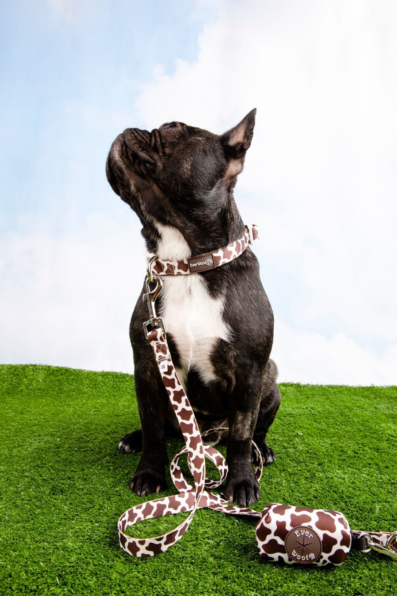 Chocolate Cow Leash Dog Leash | Purrfect Pet Kingdom