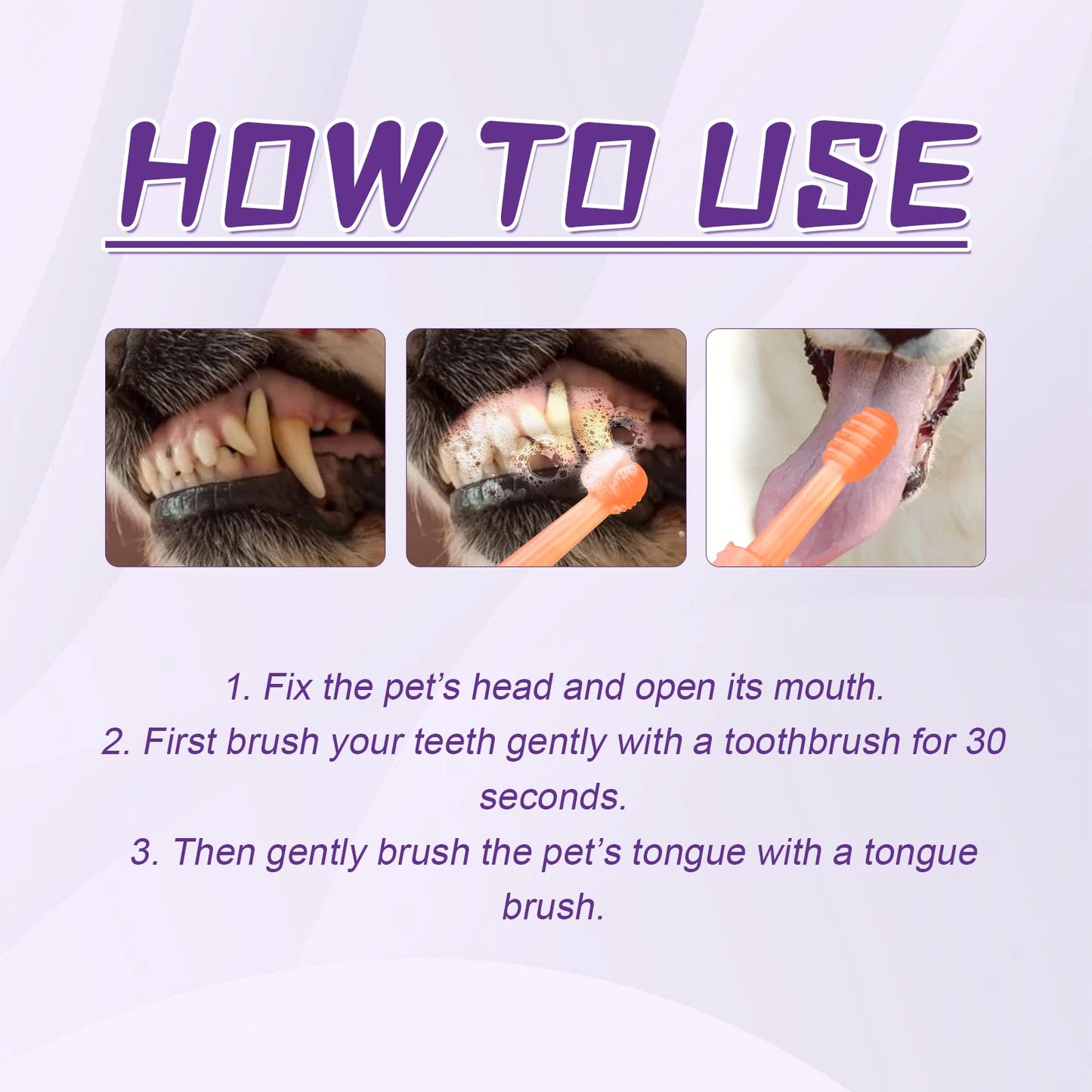 Step-by-step guide for using a dog dental hygiene brush, featuring brushing technique