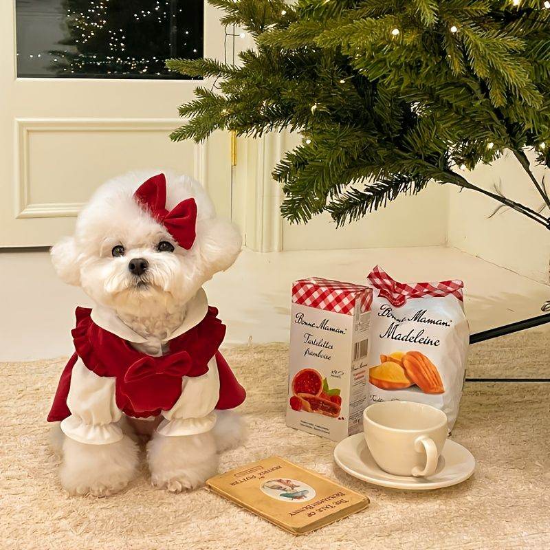 Purrfect Pet Kingdom Winter Dress for Small Dogs - Cozy Velvet Purrfect Pet Kingdom