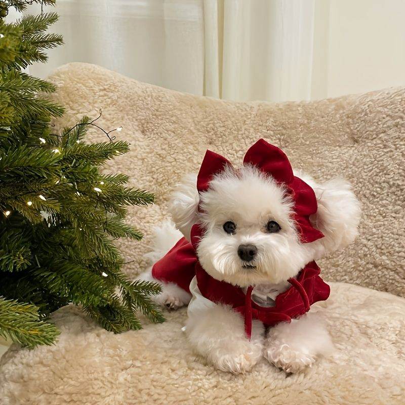 Purrfect Pet Kingdom Winter Dress for Small Dogs - Cozy Velvet Purrfect Pet Kingdom