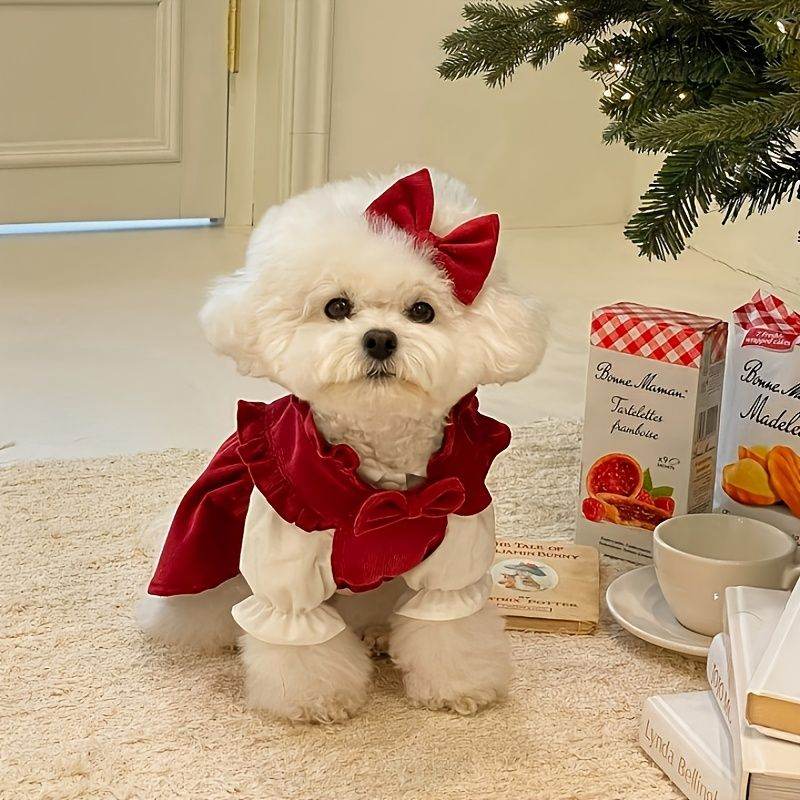 Purrfect Pet Kingdom Winter Dress for Small Dogs - Cozy Velvet M Red Purrfect Pet Kingdom