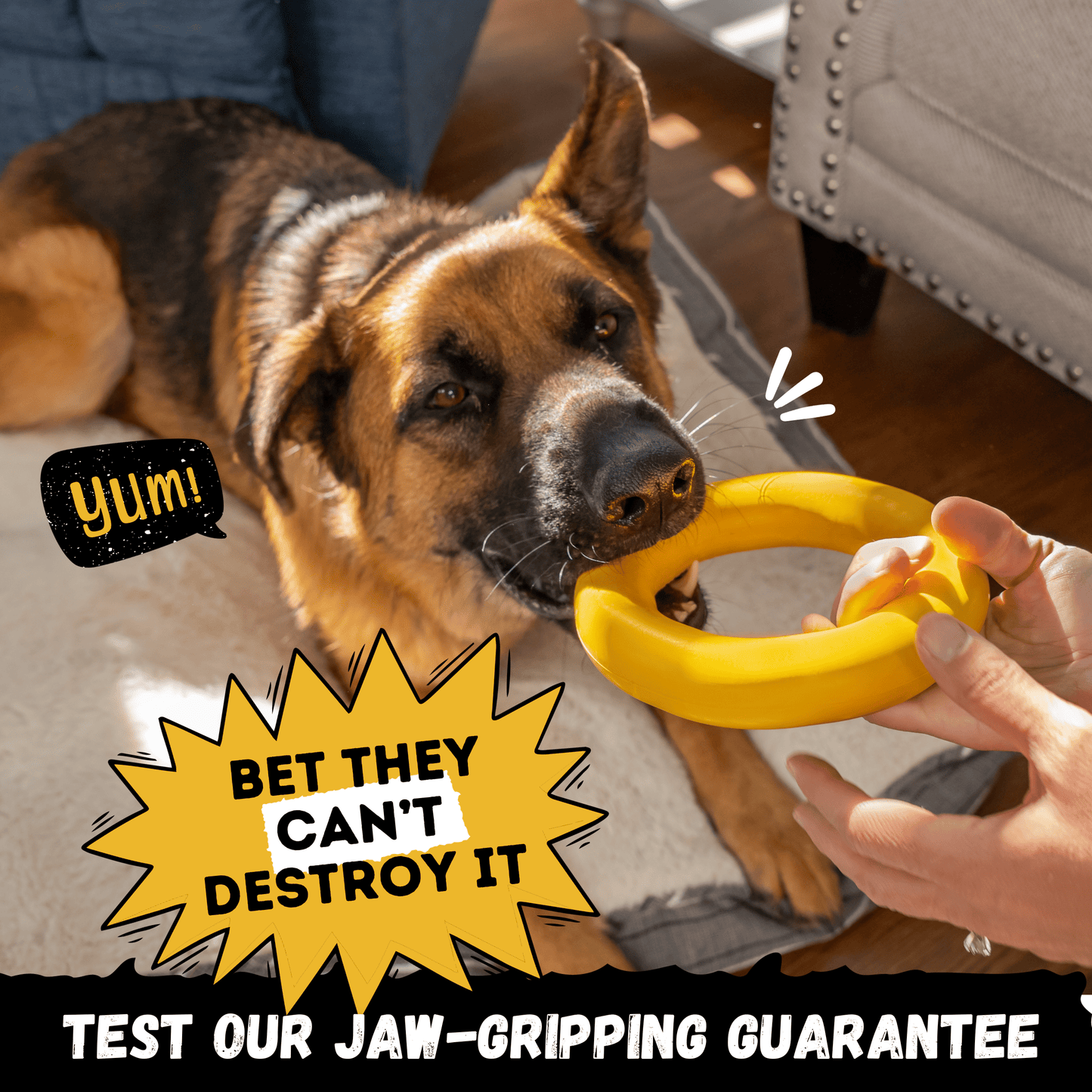 Durable Dog Toy from Monster K9 designed for tough chewers with a dog playing and interacting with it