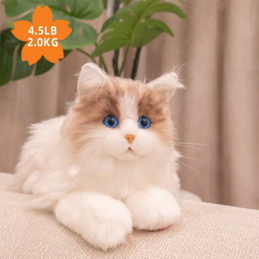Ragdoll Weighted Plush ? Realistic Cozy Calming Toy