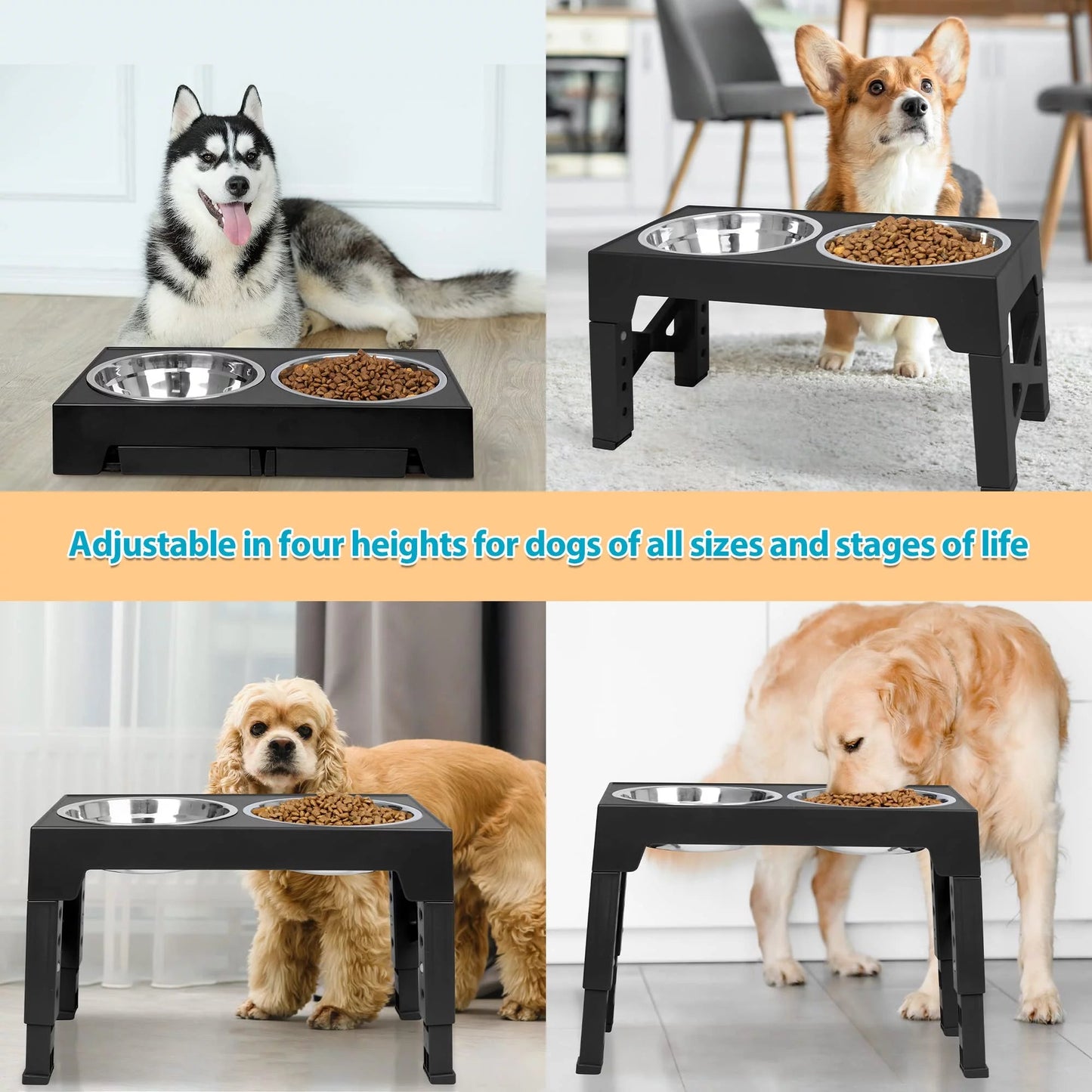 Adjustable raised dog feeder for large dogs with stainless steel bowls, perfect for all dog sizes and stages of life