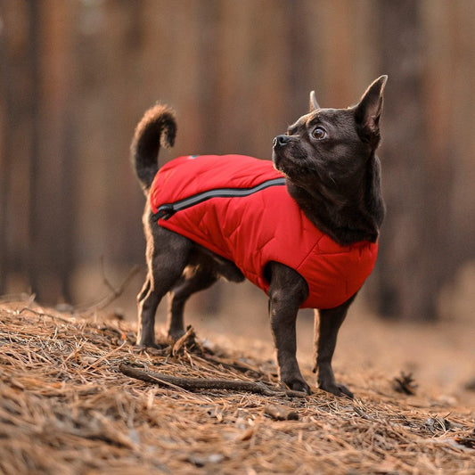Durable Pet Jacket with Reflective Elements