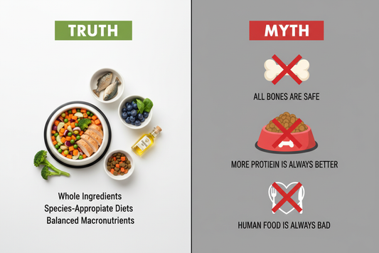 Pet nutrition myths debunked showing facts every owner should know about feeding pets