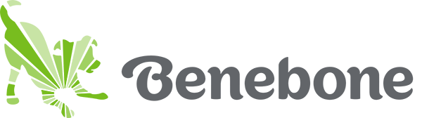 Benebone Dog Chew Toys Made in USA with Real Flavors for Durable Chewing and Dental Health