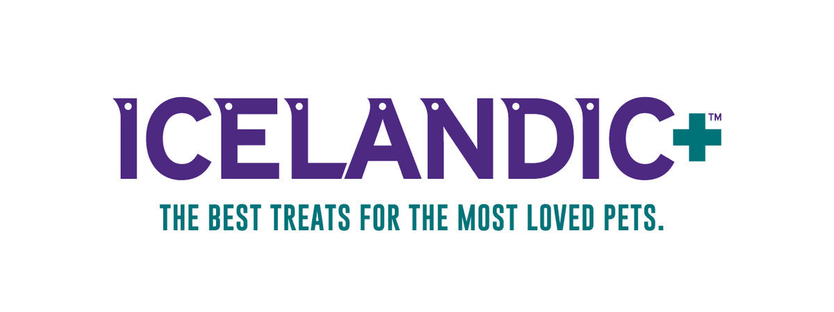Icelandic Premium Dog Treats Logo Featuring Best Treats for Beloved Pets with a Bold Design