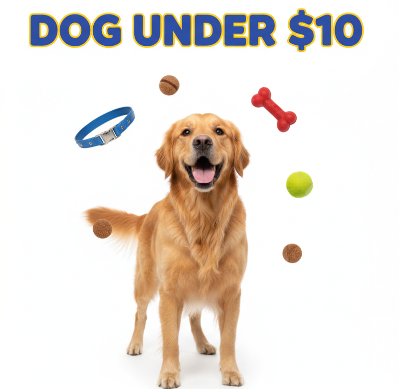 Real dog wearing bronze metallic collar on rich bronze background with "BRONZE TIER" in electric blue, hot pink, lime green, and orange paint