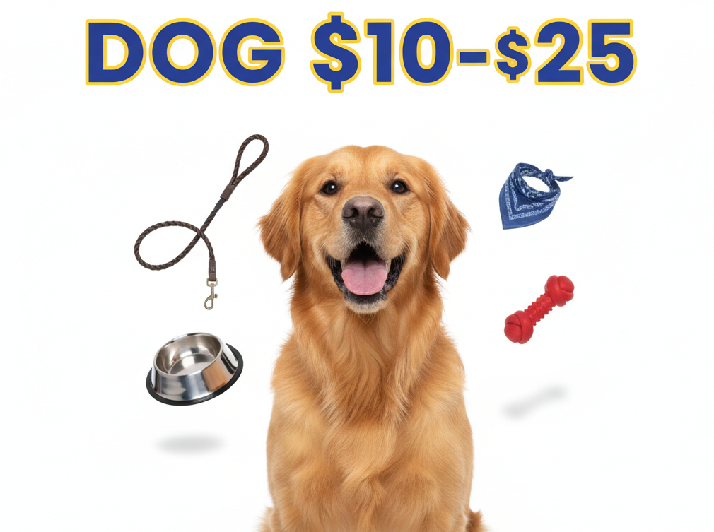 "BRONZE TIER" with each letter in different colors - B(blue), R(purple), O(pink), N(green), Z(orange), E(turquoise), T(magenta), I(yellow), E(blue), R(pink)