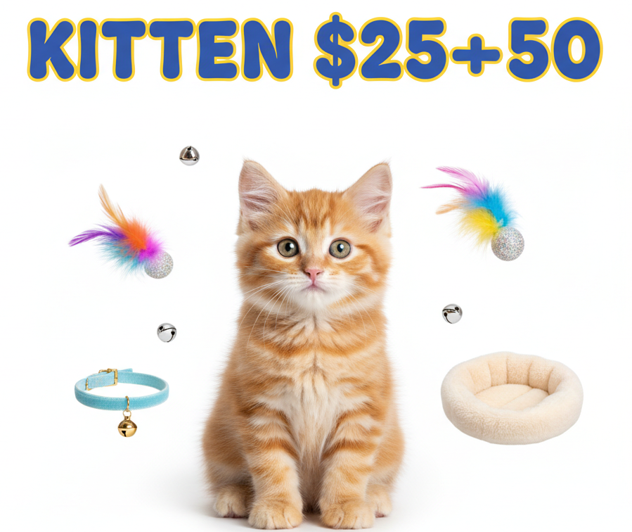 Kitten $10-$25