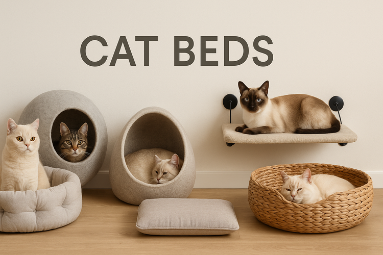 🛏️ Cat Beds