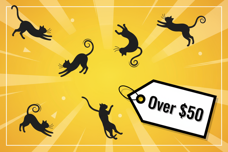 Cat Items Over $50