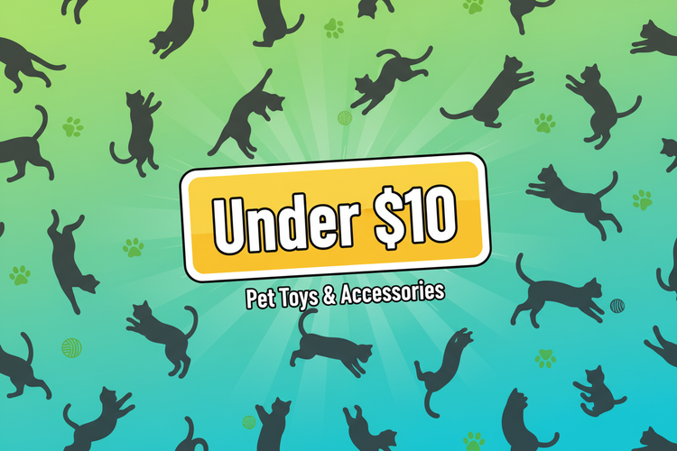 Cat Items Under $10