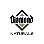 Happy golden retriever running through a sunny, lush green meadow, warm natural lighting, wholesome and vibrant.