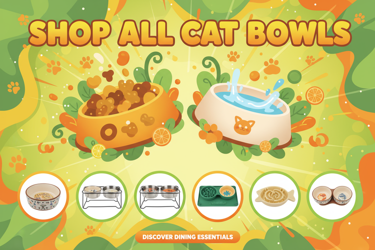 Shop All Cat Bowls 🥣