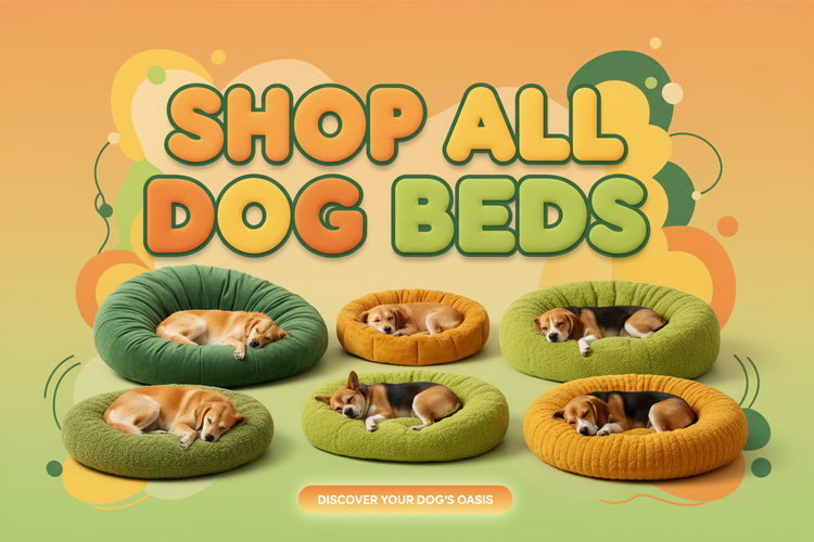 Shop All Dog Beds 🛏️