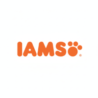 A happy dog and cat sitting together in a bright, sunlit kitchen next to bowls of premium Iams pet food.