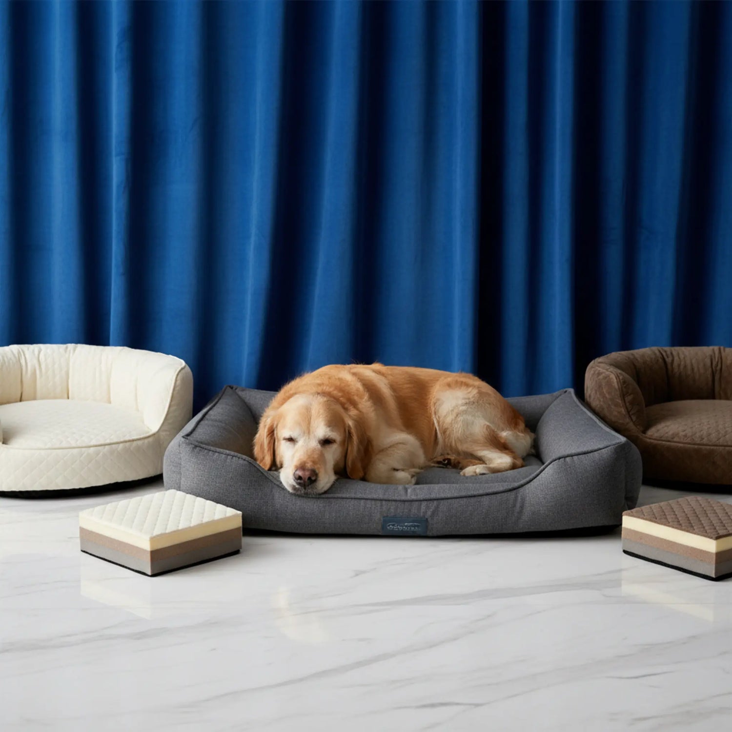 Senior dogs sleeping pain-free on memory foam beds - emotional appeal for joint relief and comfort.