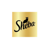 A sleek, content cat dining from a ceramic dish in a sunlit, modern kitchen with elegant gold and warm wood accents.