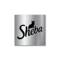 A sleek, content cat dining from a ceramic dish in a sunlit, modern kitchen with elegant gold and warm wood accents.